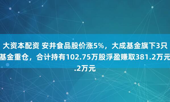 大资本配资 安井食品股价涨5%，大成基金旗下3只基金重仓，合计持有102.75万股浮盈赚取381.2万元