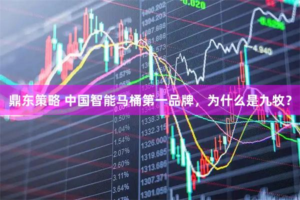 鼎东策略 中国智能马桶第一品牌，为什么是九牧？