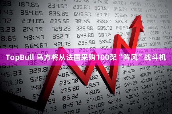 TopBull 乌方将从法国采购100架“阵风”战斗机