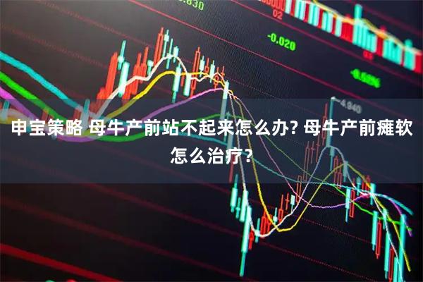 申宝策略 母牛产前站不起来怎么办? 母牛产前瘫软怎么治疗？