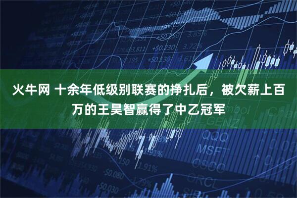 火牛网 十余年低级别联赛的挣扎后，被欠薪上百万的王昊智赢得了中乙冠军