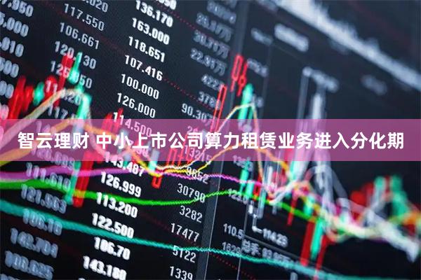 智云理财 中小上市公司算力租赁业务进入分化期